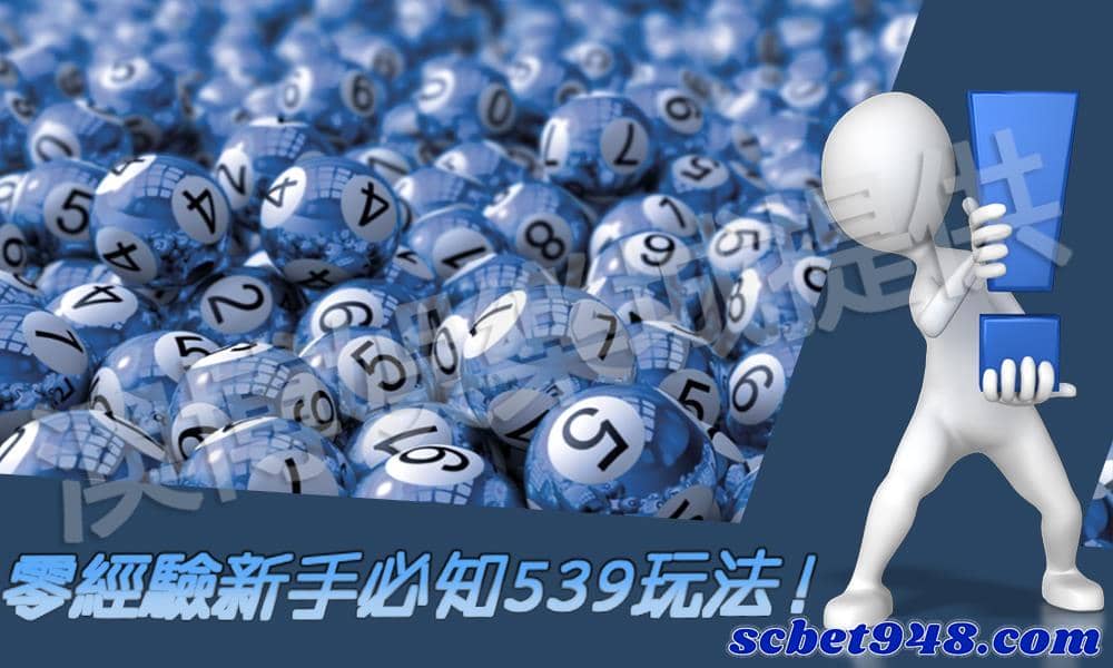 539玩法新手必知