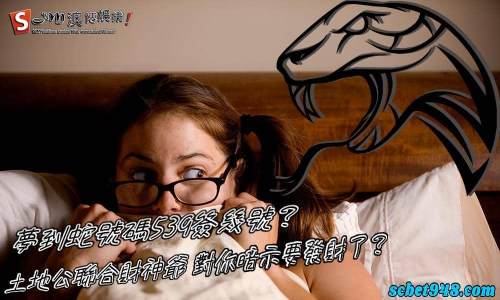 夢到蛇號碼539?看見蛇代表號碼是?夢到蛇和看見蛇的差別是?