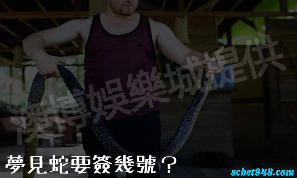 夢見蛇要簽幾號?傳說有意外之財?