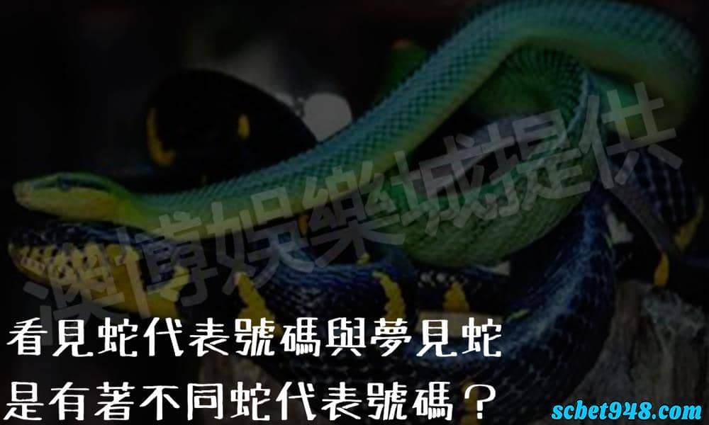 看見蛇代表號碼或是夢見蛇要簽幾號