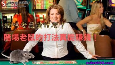 賭場老鼠是什麼?百家樂的老鼠打法真能讓你獲利?