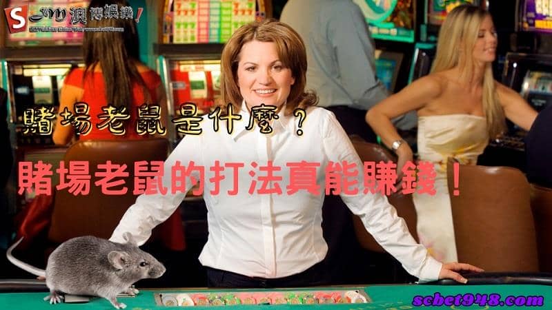 賭場老鼠是什麼