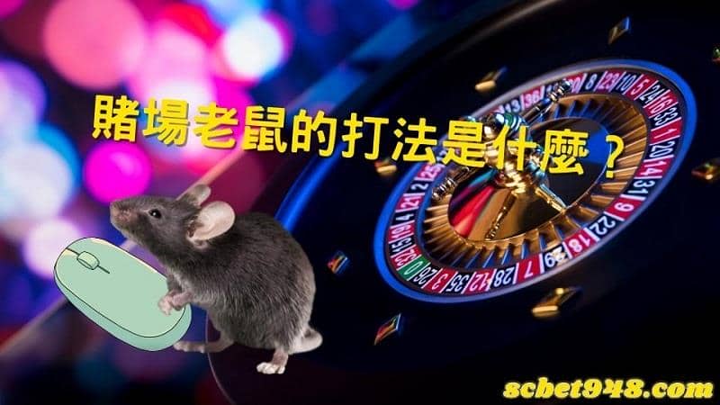 賭場老鼠的打法
