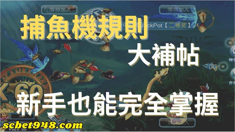 捕魚機規則