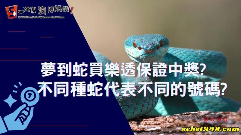 夢到蛇買樂透