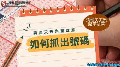 美國天天樂開獎單查詢，如何聰明抓出順球牌就看這篇！
