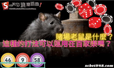 賭場老鼠是什麼?這種的打法可以運用在百家樂嗎?