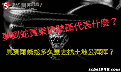 夢到蛇買樂透號碼代表什麼?見到兩條蛇多久要去找土地公拜拜?