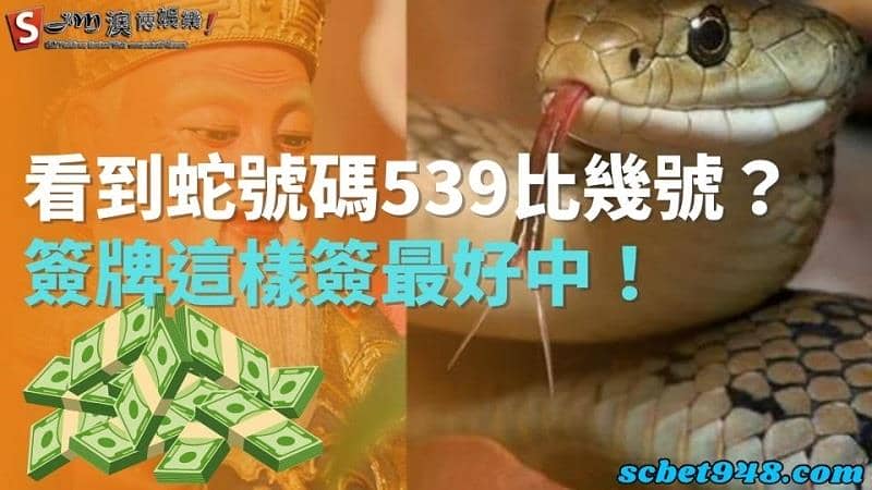 看到蛇號碼539