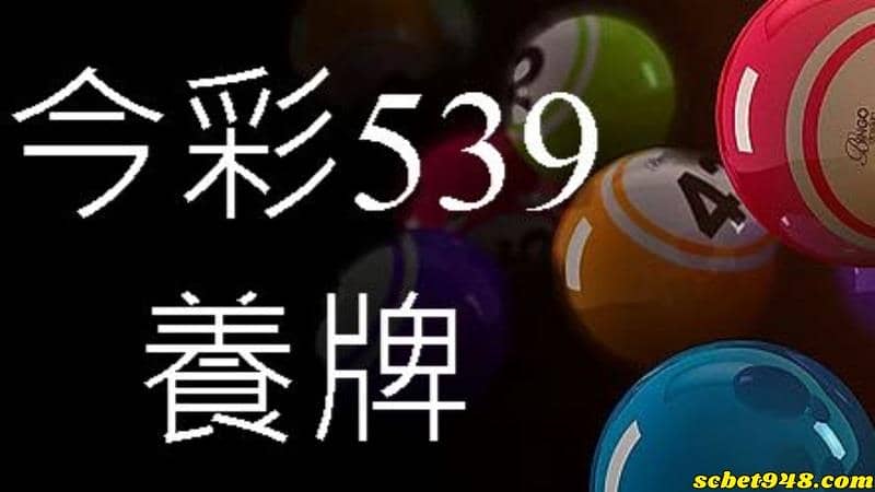 539彩金