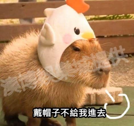 百家樂賭場