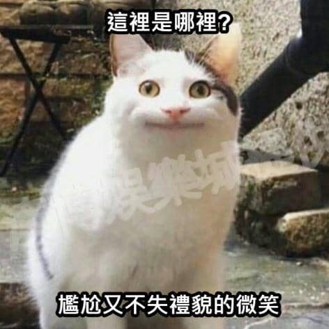 百家樂