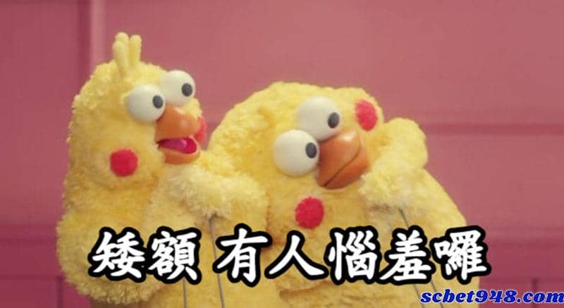 泊樂娛樂城評價