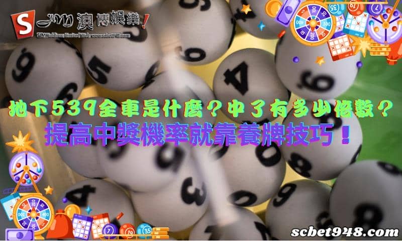 地下539全車