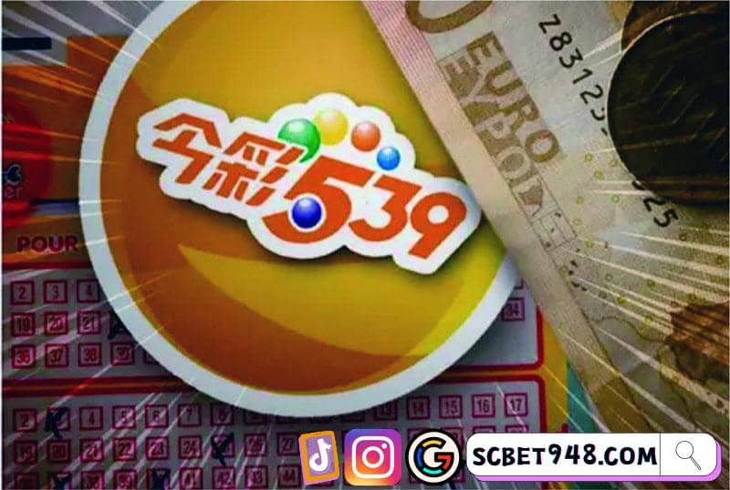 539玩法