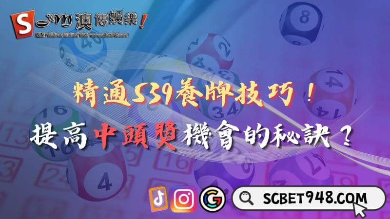 539養牌技巧