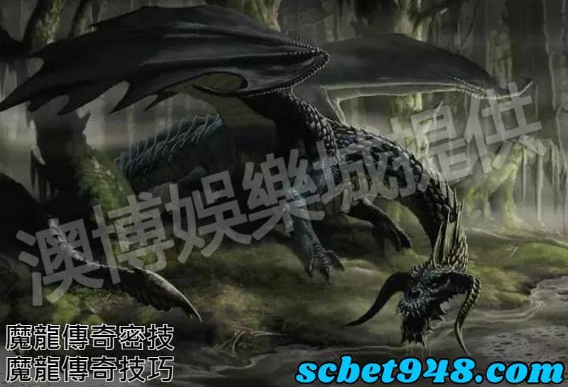魔龍傳奇技巧與魔龍傳奇密技