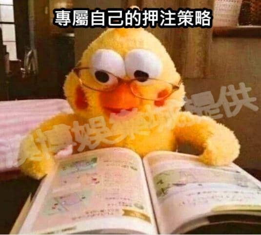 熟練百家樂技巧