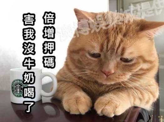 百家技巧
