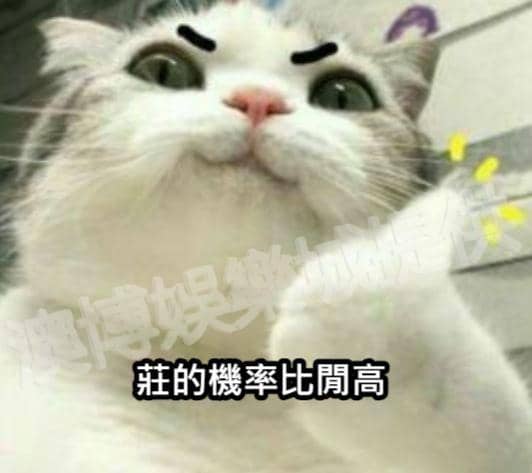 百家樂技巧