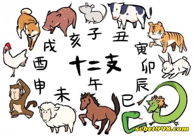 539生肖連