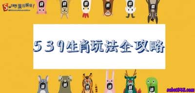 539生肖連是什麼?快來測試你是不是天生帶財!