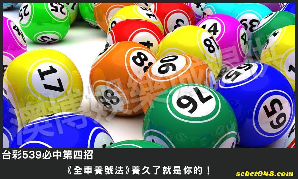 台彩539必中第四招： ⟪全車養號法⟫養久了就是你的！