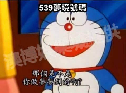 539夢境號碼