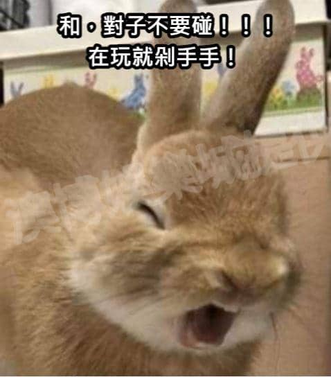 和牌、對子，不要碰