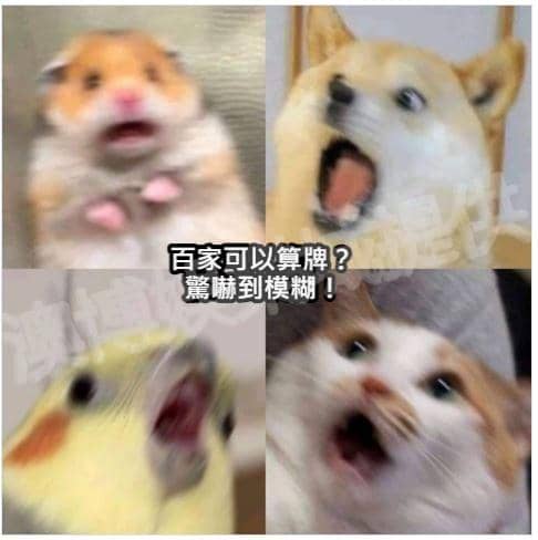 百家也可以算牌