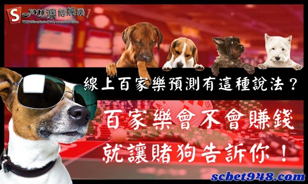 線上百家樂預測有這種說法?百家樂會不會賺錢就讓賭狗告訴你!