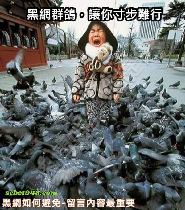 黑網如何避免-留言內容最重要