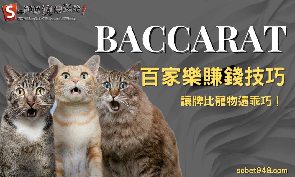 百家樂賺錢技巧 讓牌比寵物還乖巧!