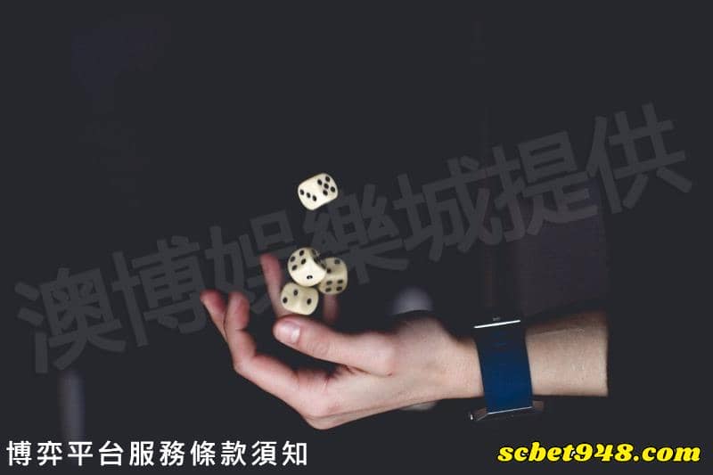 博弈平台服務條款須知