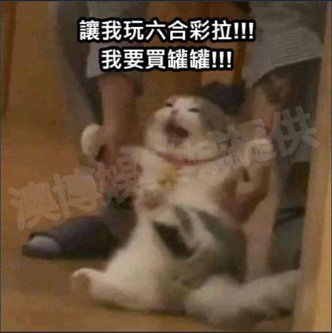 地下六合