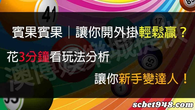 BINGO BINGO 賓果賓果分析