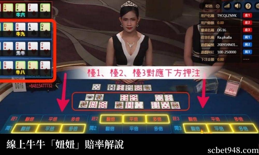 線上百家樂牛牛「百家樂妞妞」賠率解說：