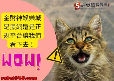 金財神娛樂城跟財神到底有什麼關係呢？是代理還是合作夥伴呢！