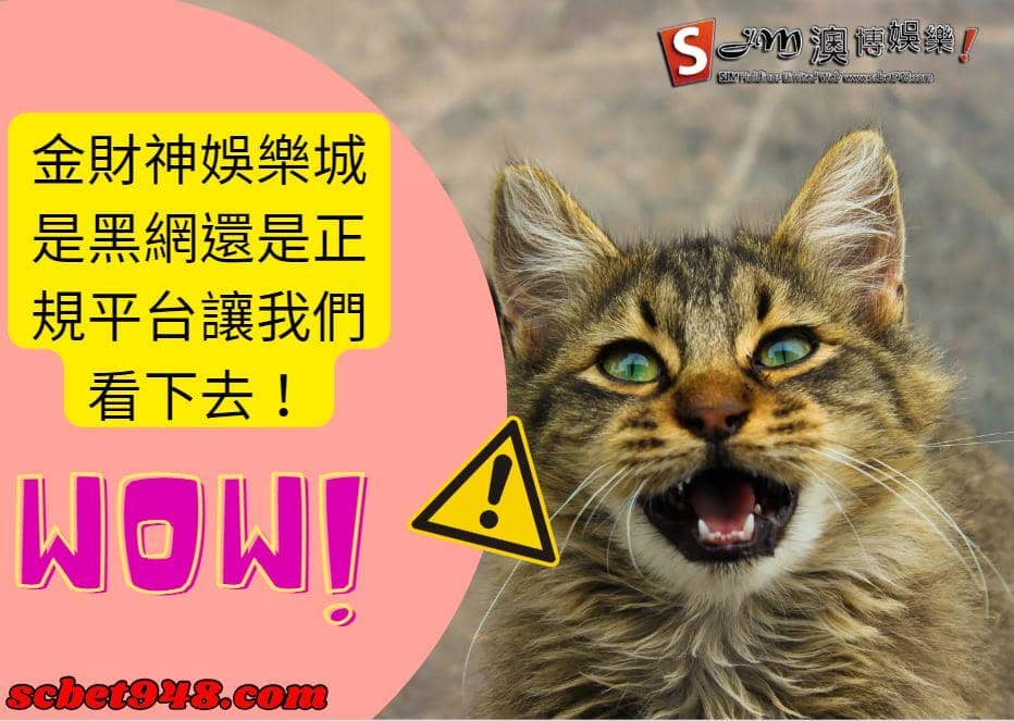 金財神娛樂城