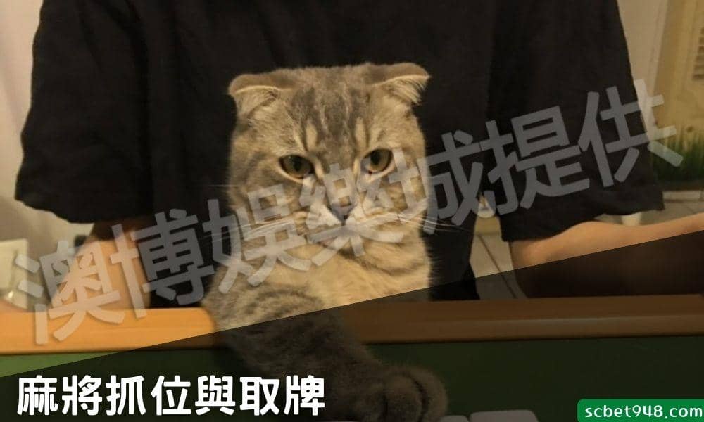打麻將流程: 抓位與取牌