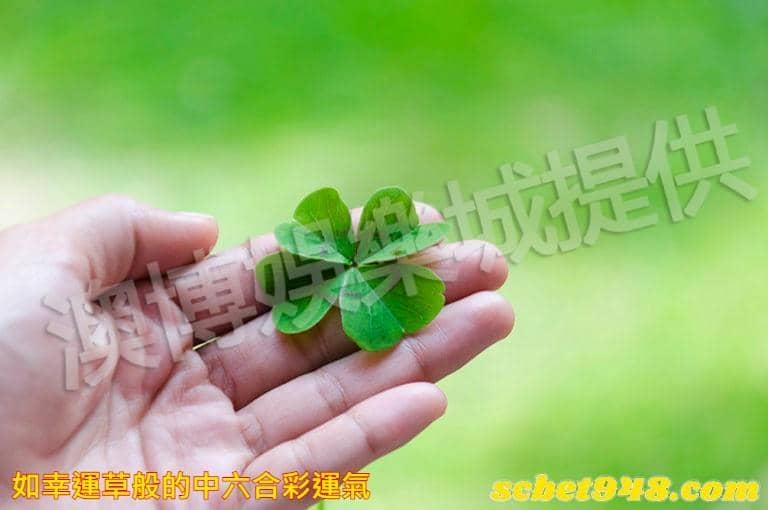 如幸運草般的中六合彩運氣